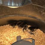 Blain's Farm & Fleet - Ottawa, Illinois