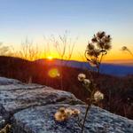 Shenandoah National Park