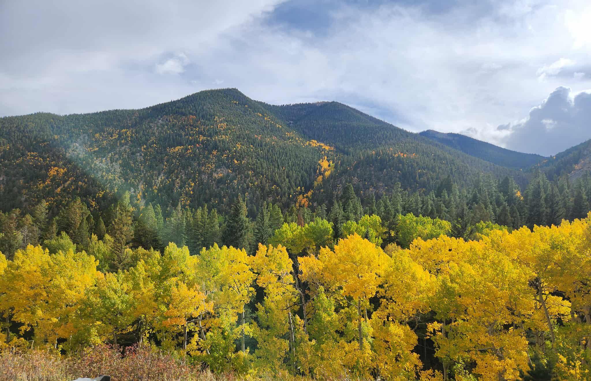 The Wedding Website of Beth Hayes and John Toplyn