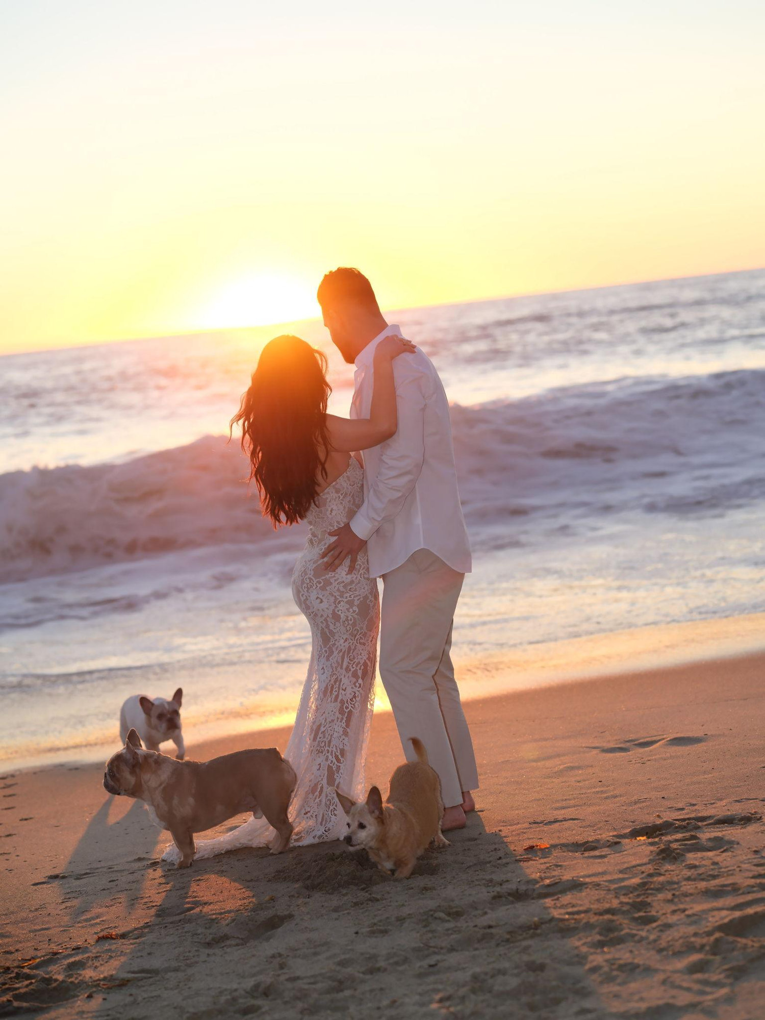 The Wedding Website of Shamim Fardbastan and Behrod Mohseni