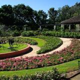 Hunter Valley Gardens