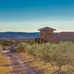Texas Hill Country Olive Co.