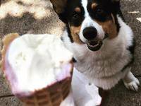 Clementine's Naughty and Nice Creamery
