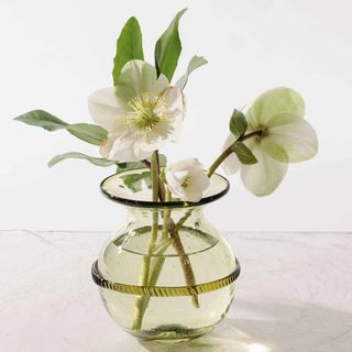 Banded Glassware Round Vase
