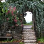 New Jersey Botanical Garden