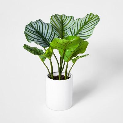 19" x 14" Artificial Orbit Peacock Plant In Pot Green/White - Opalhouse™