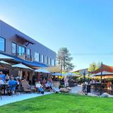 Telaya Wine Co.