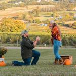 Dirt Farm Brewing