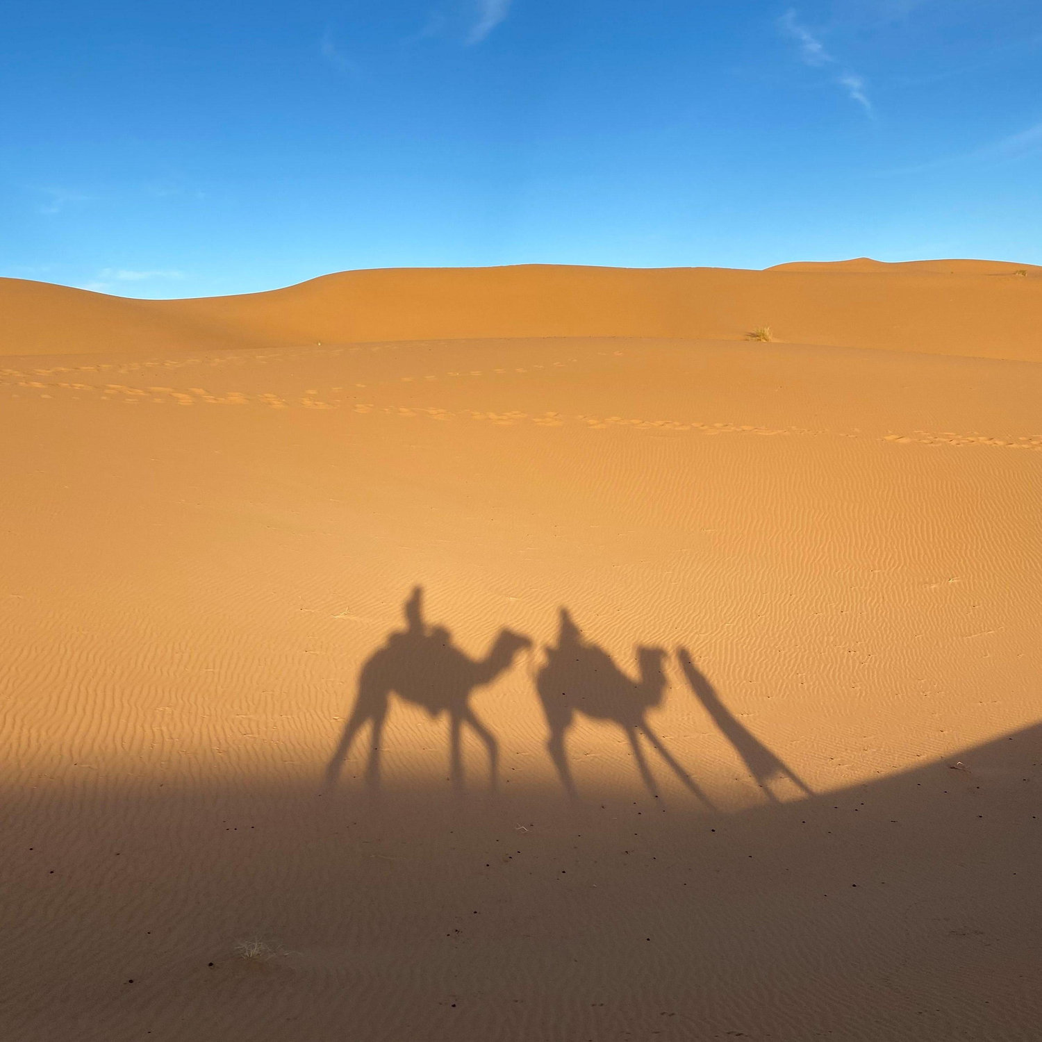 ATVing and riding camels in the Sahara Desert while visiting Morocco (December 2019)
