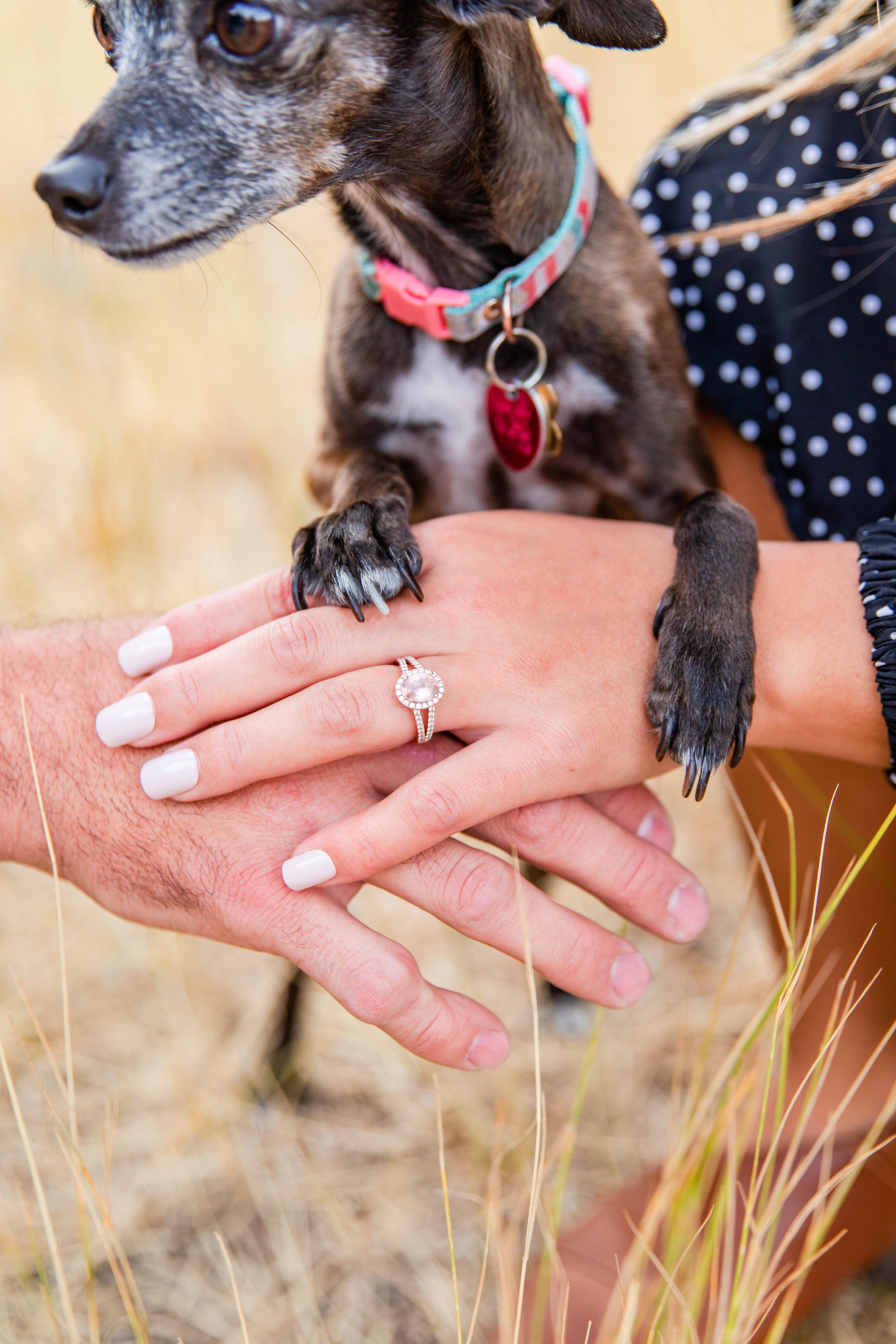 The Wedding Website of Nicole Moreno and Skyler King