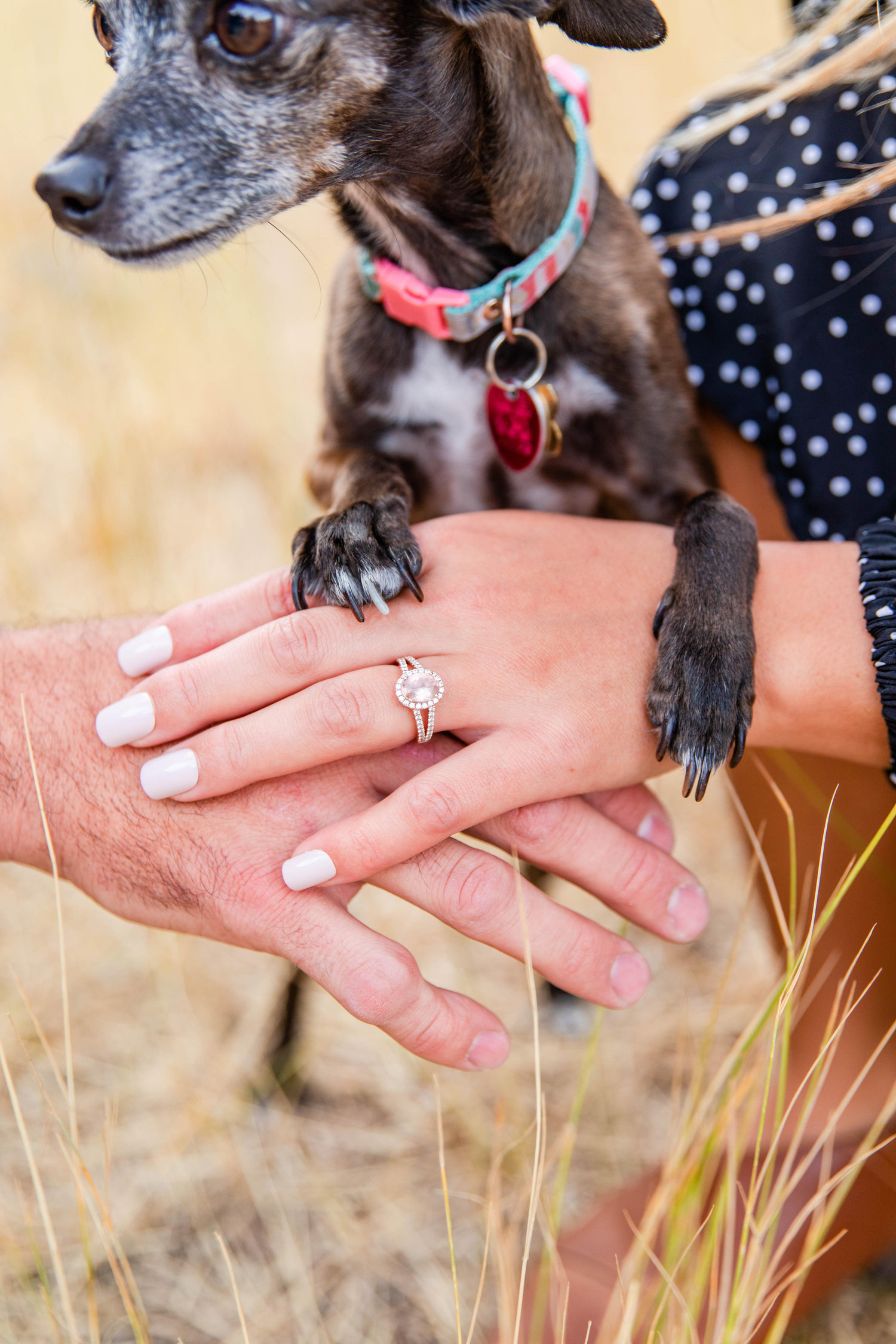 The Wedding Website of Nicole Moreno and Skyler King