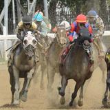 2025 July 4th Racing Festival at Saratoga Race Course