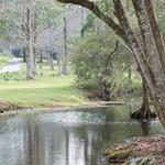 Fairhope Beach and Park