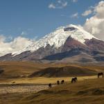 Cotopaxi National Park