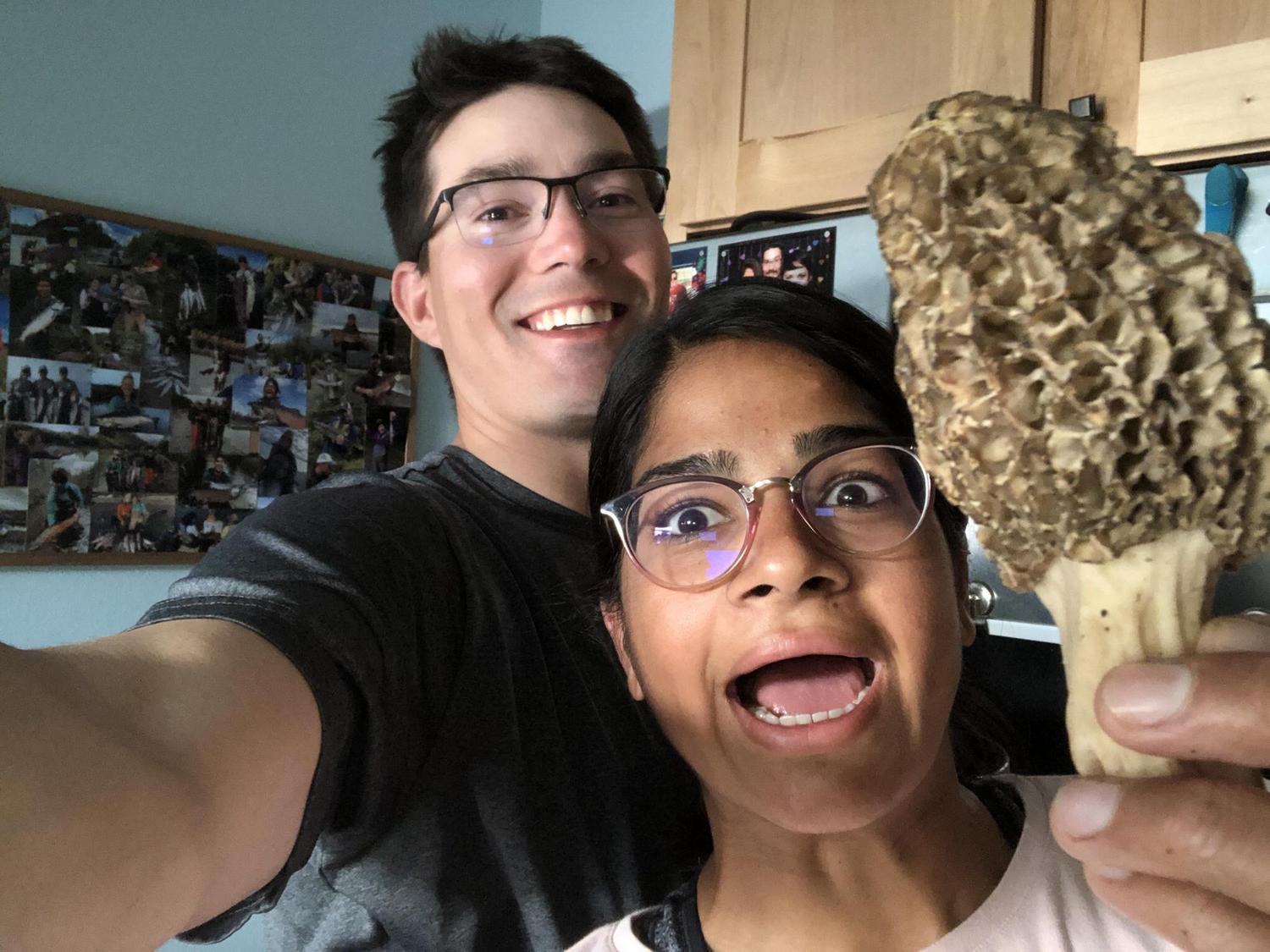 MORELS - Jul 2020