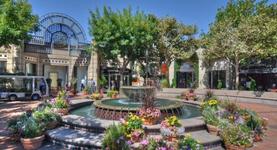 Walnut Creek Downtown