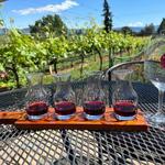 Marchesi Vineyards & Winery