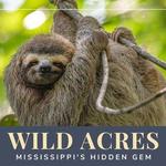 Wild Acres Hands-on Animal Experience - Reservation Required