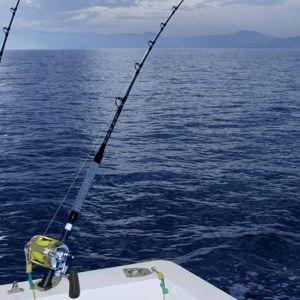 Honeymoon Excursion