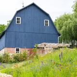 Lavender Bluff Farm