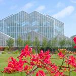 Frederik Meijer Gardens & Sculpture Park