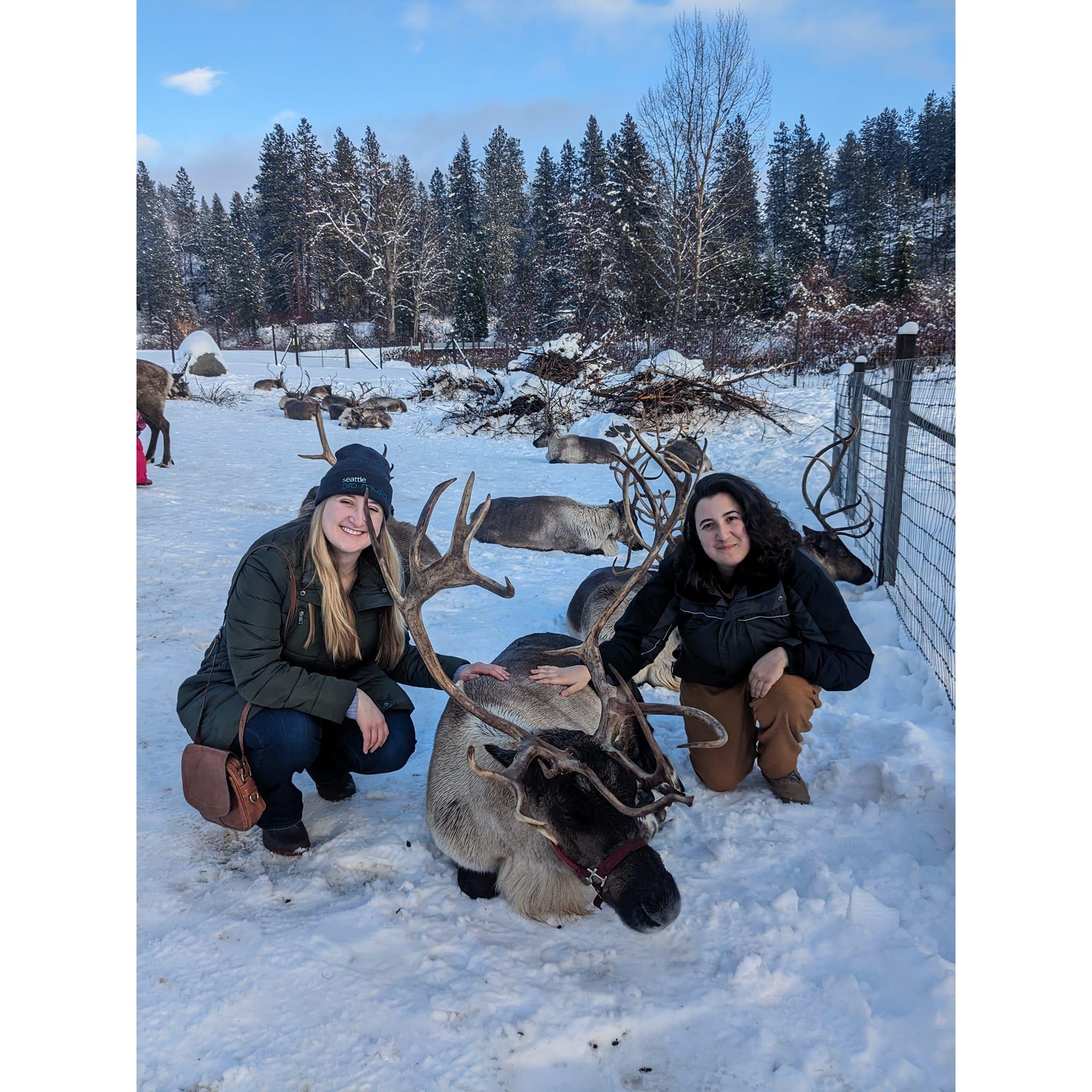 Petting reindeer in Leavenworth!