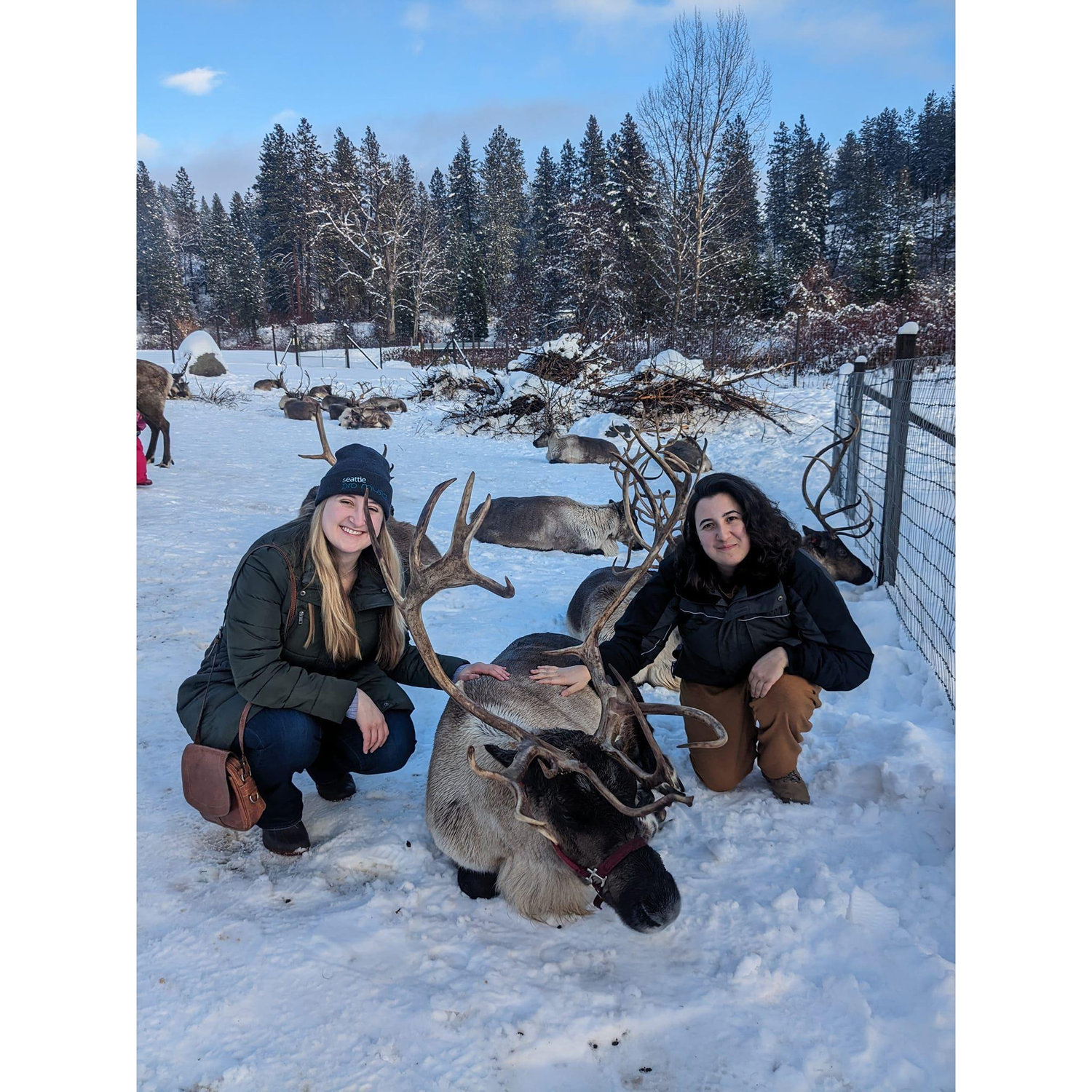 Petting reindeer in Leavenworth!