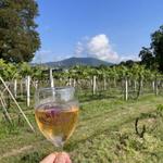 Wisteria Farm and Vineyard