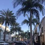 Rodeo Drive