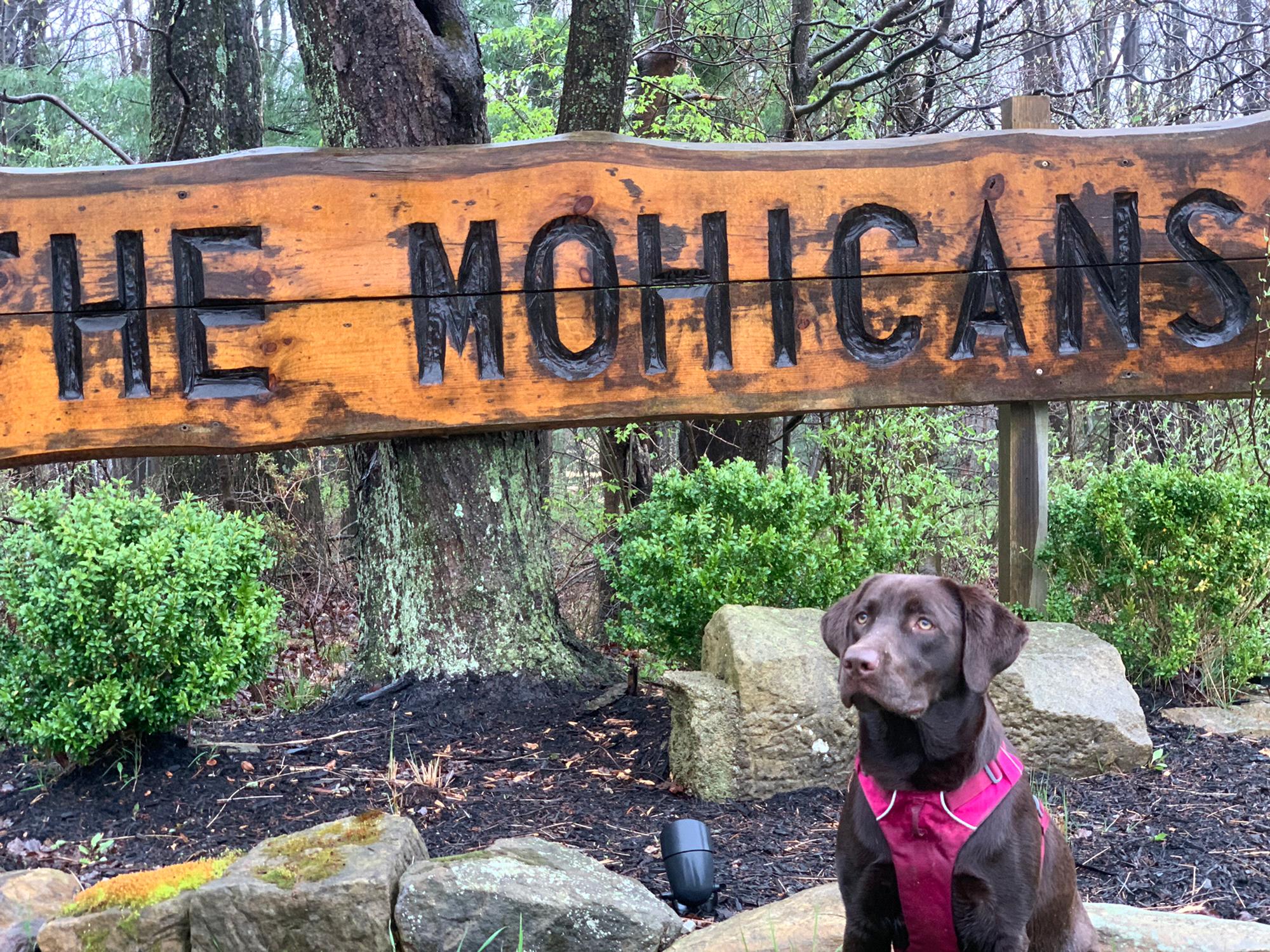 Maple’s first trip to our venue