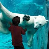St. Louis Zoo