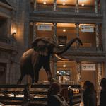 Smithsonian National Museum of Natural History