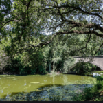 Audubon Park
