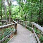 Acton Arboretum
