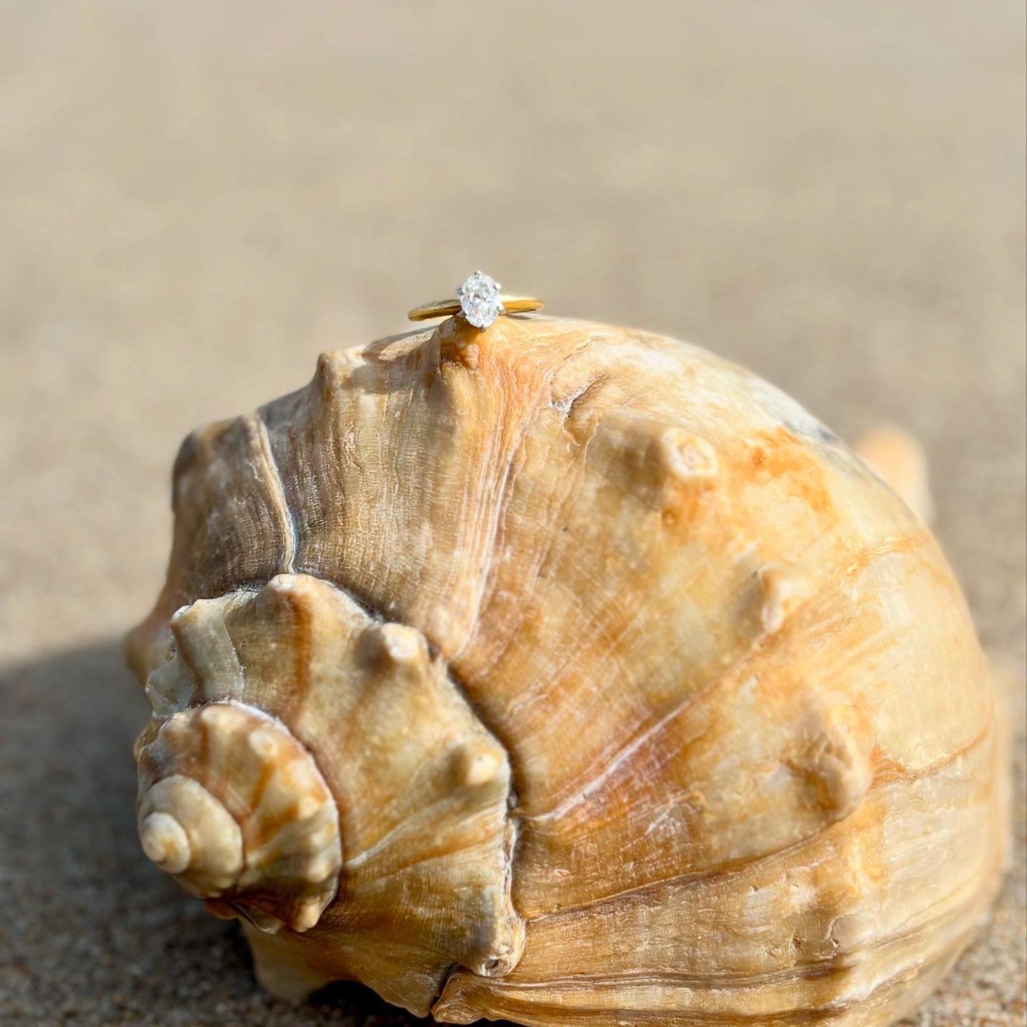 The one shell we found our engagement weekend with the most beautiful ring.