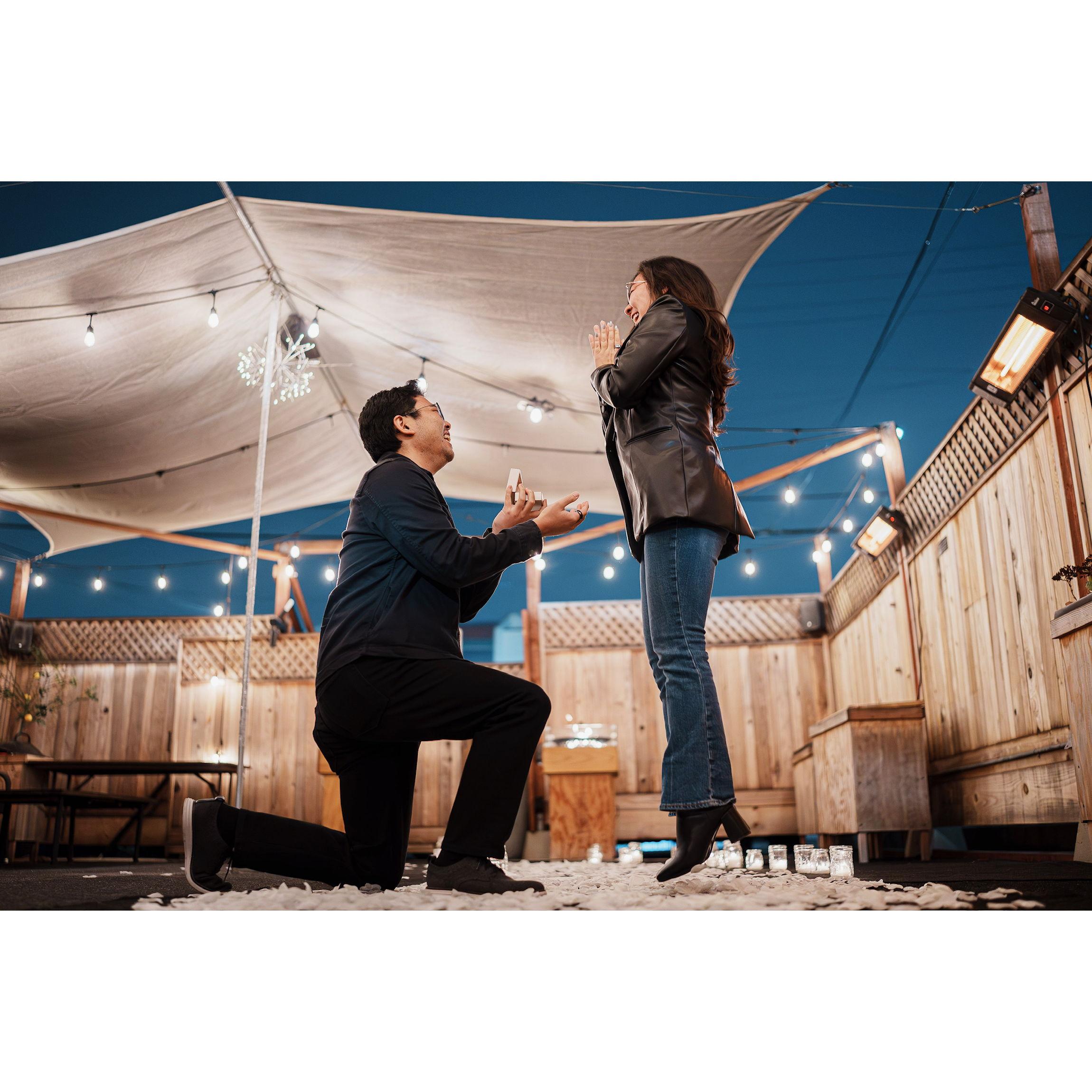 The proposal