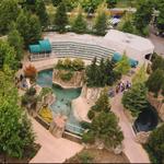 The Buffalo Zoo