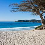 Carmel Beach