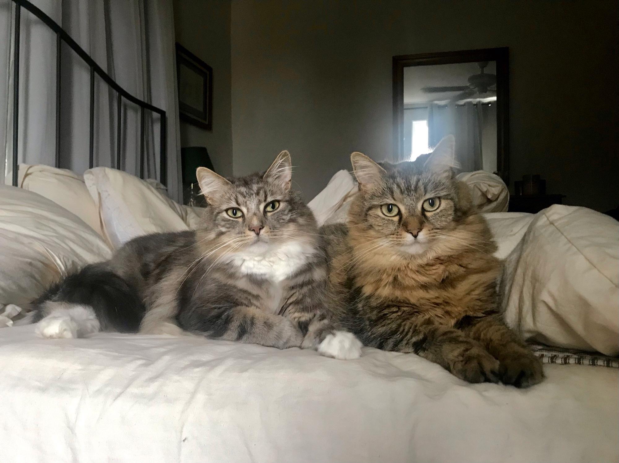 Nash & Charlotte