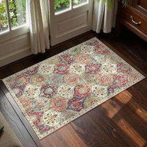 Washable Orange Rug, 2x3 Orange/Terracotta