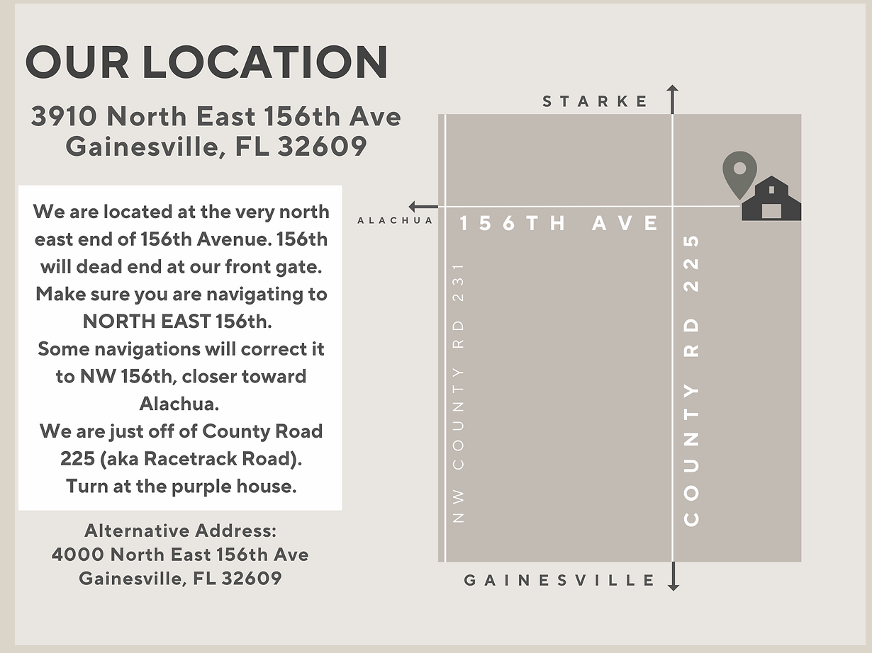 The Wedding Website of Kacey Peterson and Tyler Dale