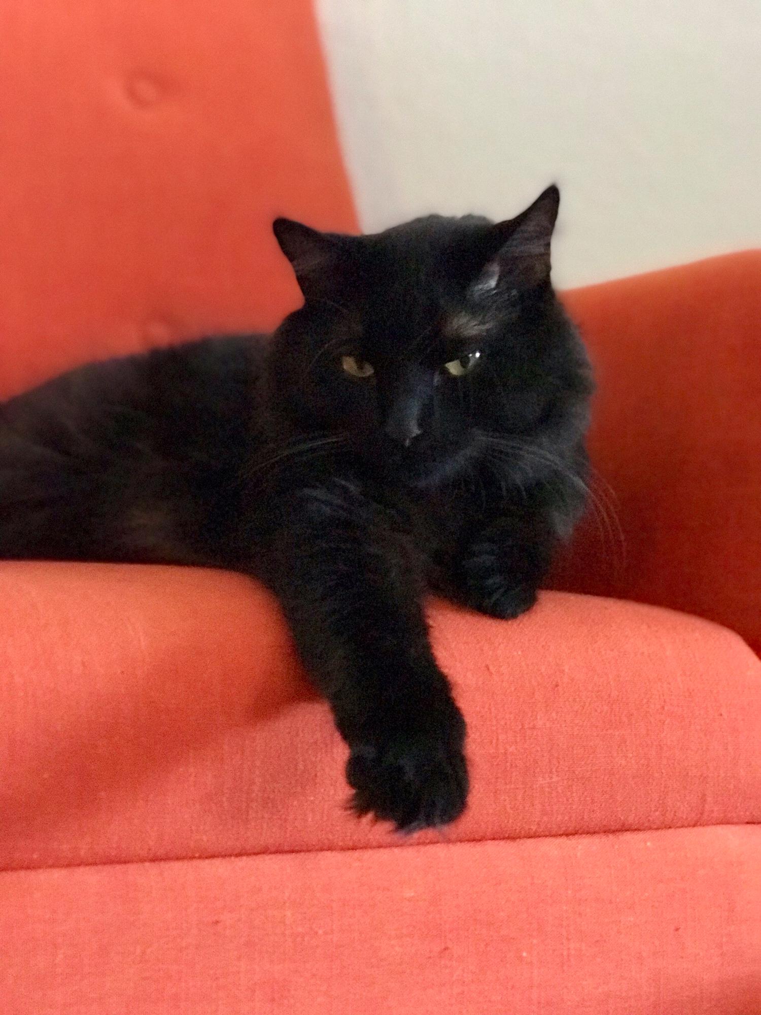 Tinder profile Pic