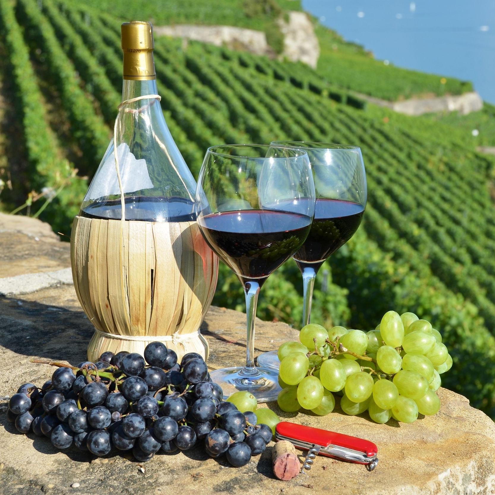 Wine Tasting in Italy
