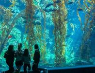 Birch Aquarium at Scripps Institution of Oceanography