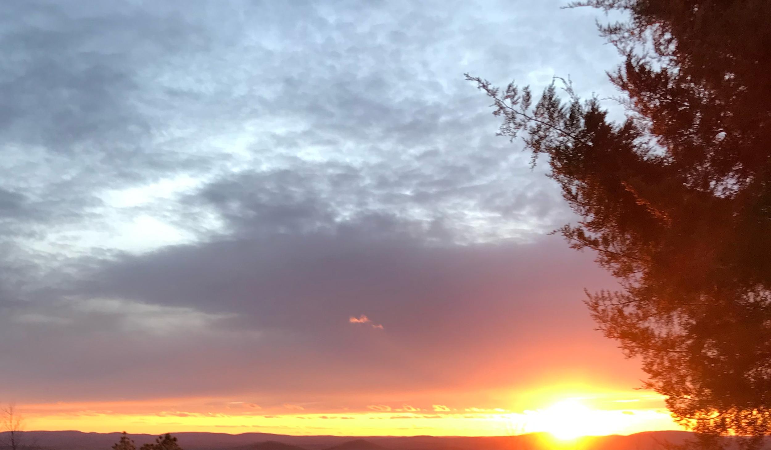 The Wedding Website of Fiva McCanless and Jason Butler