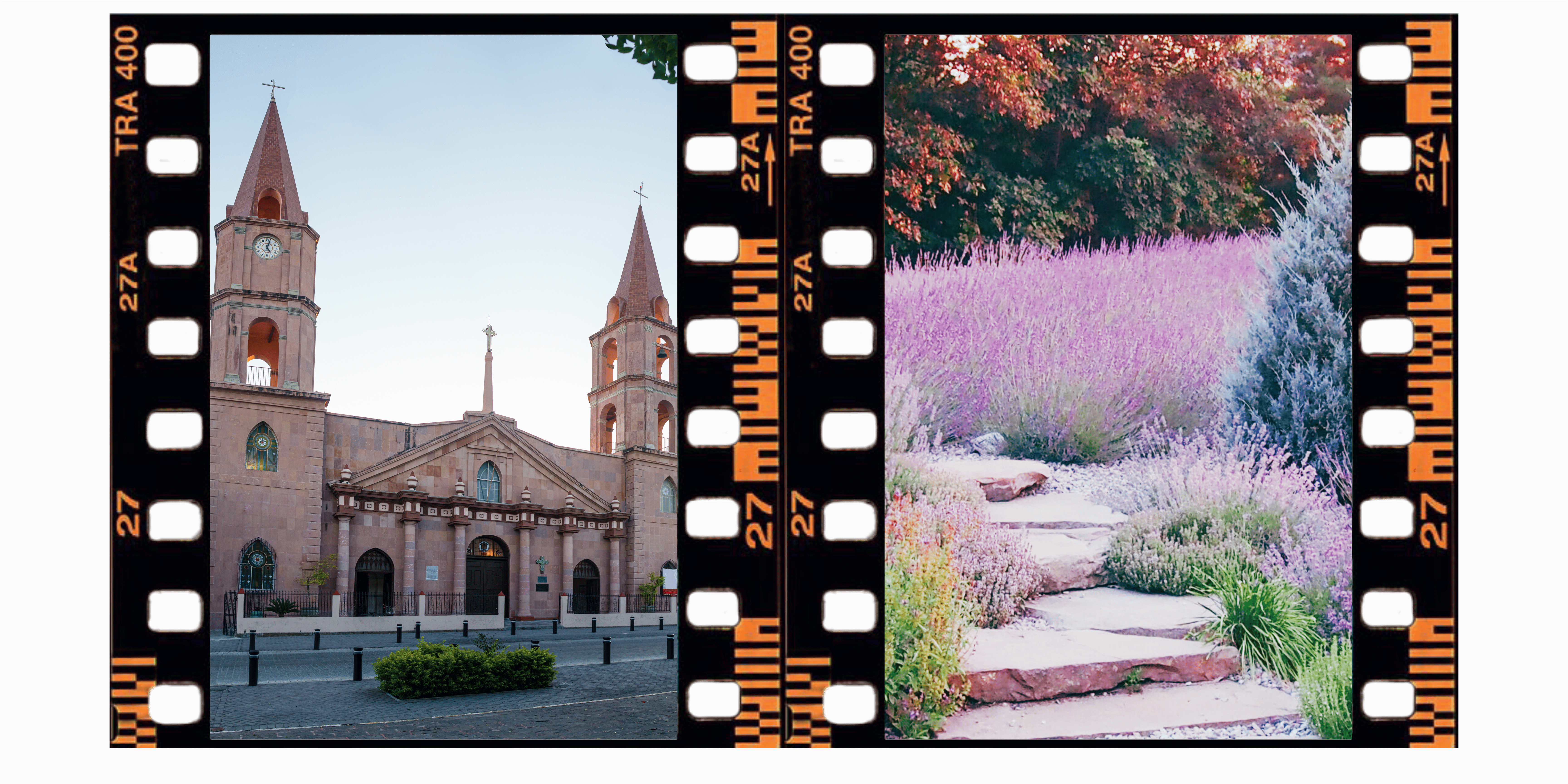 The Wedding Website of Molly McConnell and Eduardo Romero