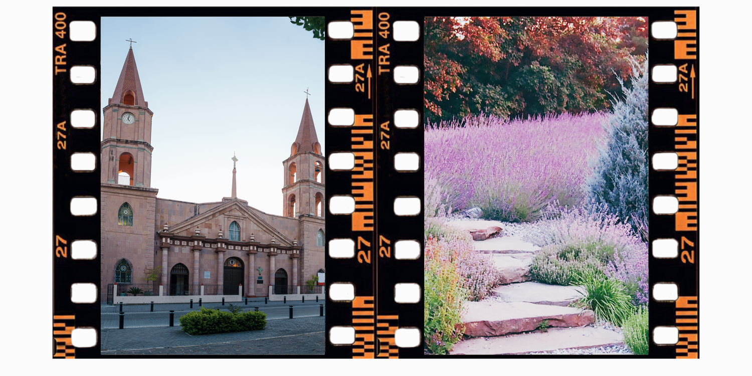 The Wedding Website of Molly McConnell and Eduardo Romero