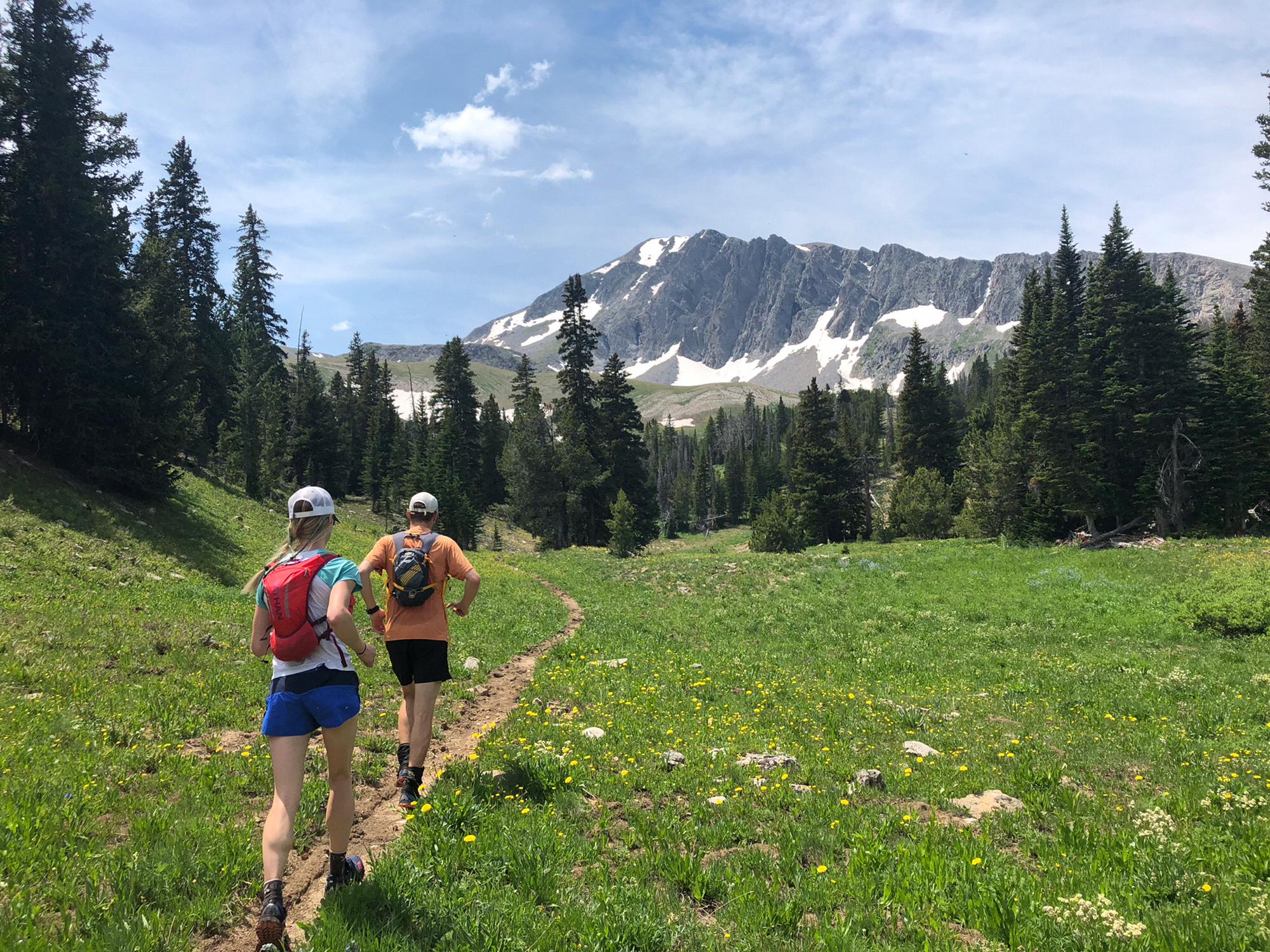 Taylor Hilgard Wilderness, MT
Running to the top of that peak...