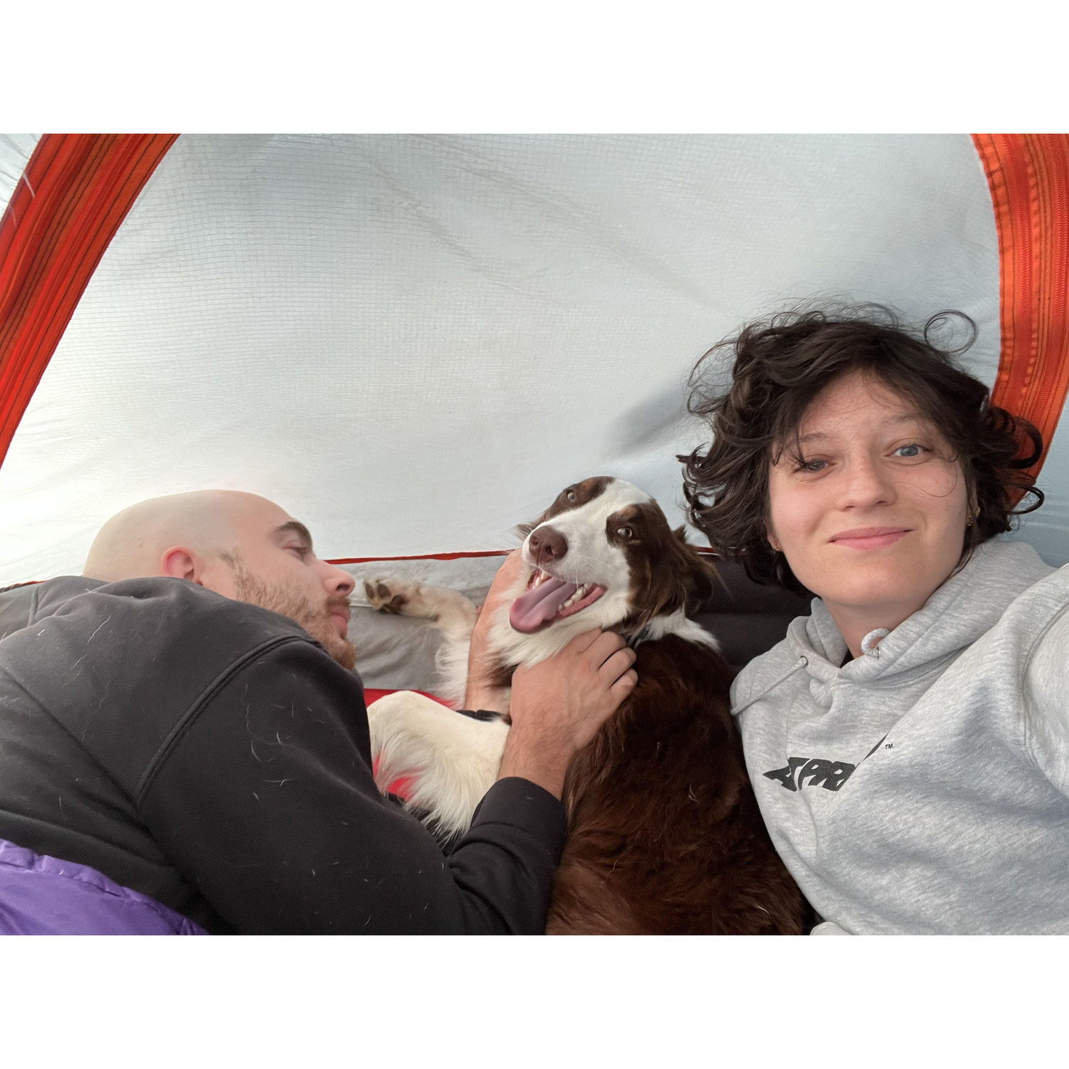 Camping with our four legged friend, Maroo