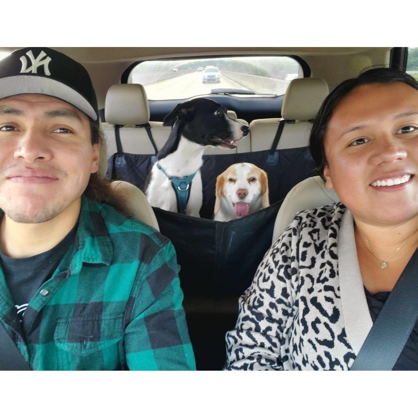 October 2020. Negan officially moved in with us. Our family is now complete.